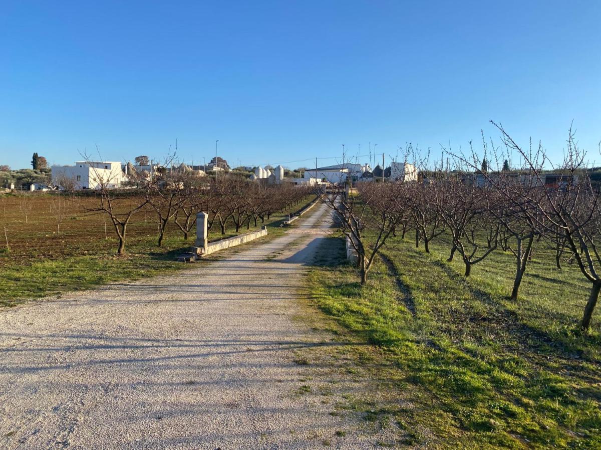 Trullo Della Selva Villa Alberobello Kültér fotó