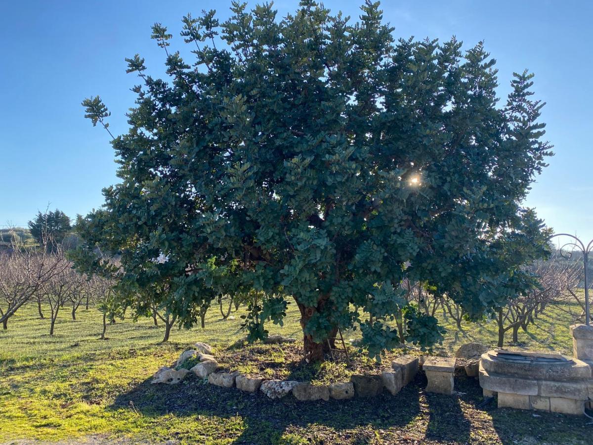 Trullo Della Selva Villa Alberobello Kültér fotó